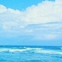 是，我的海